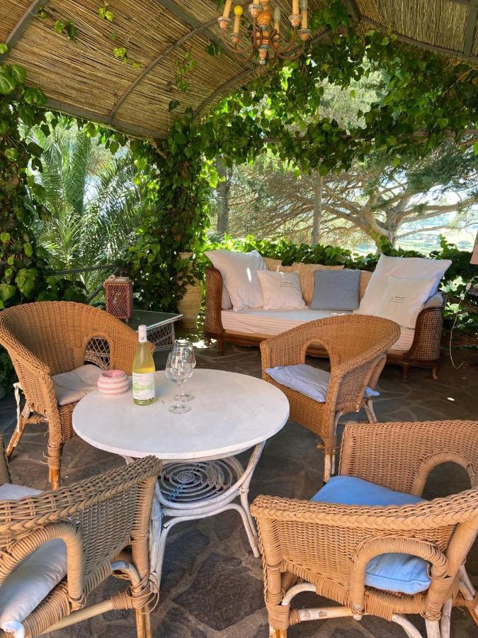 B&B Villa Il Poggetto Venturina Terme Eksteriør billede