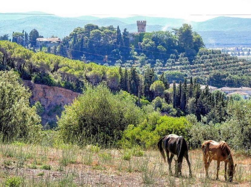 B&B Villa Il Poggetto Venturina Terme Eksteriør billede