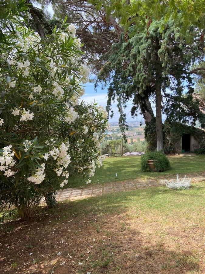 B&B Villa Il Poggetto Venturina Terme Eksteriør billede