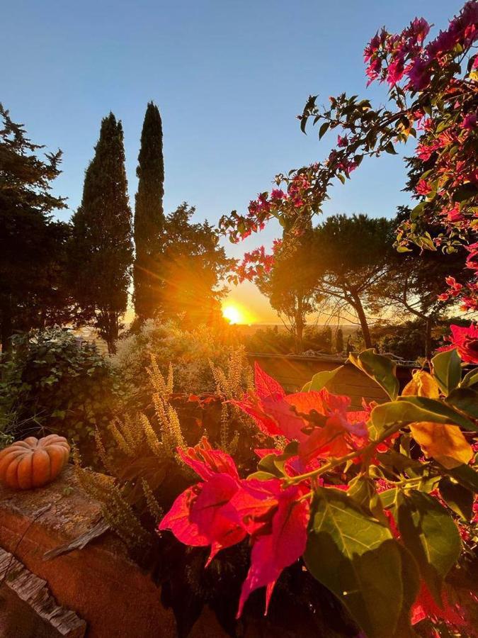 B&B Villa Il Poggetto Venturina Terme Eksteriør billede