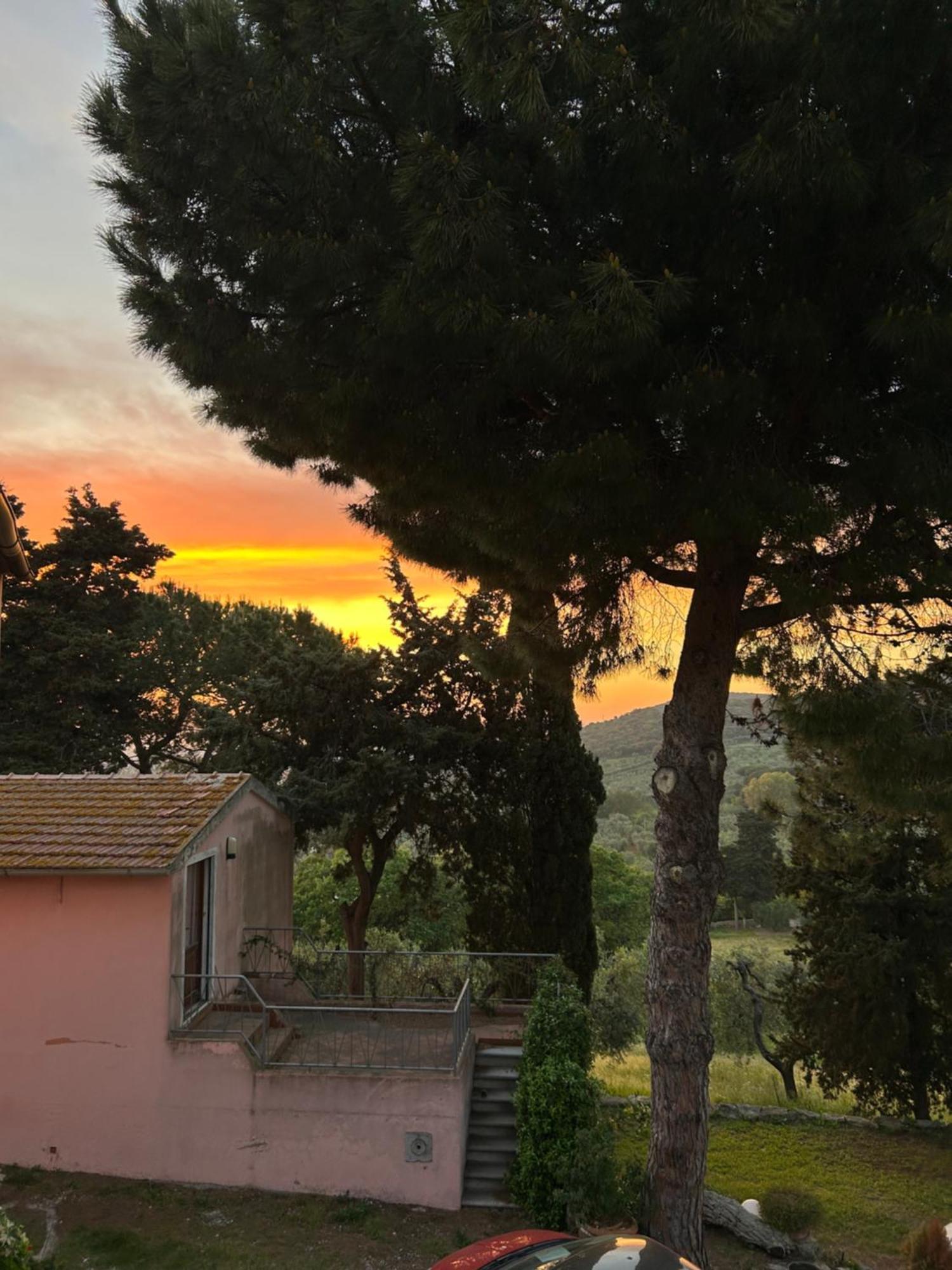 B&B Villa Il Poggetto Venturina Terme Eksteriør billede