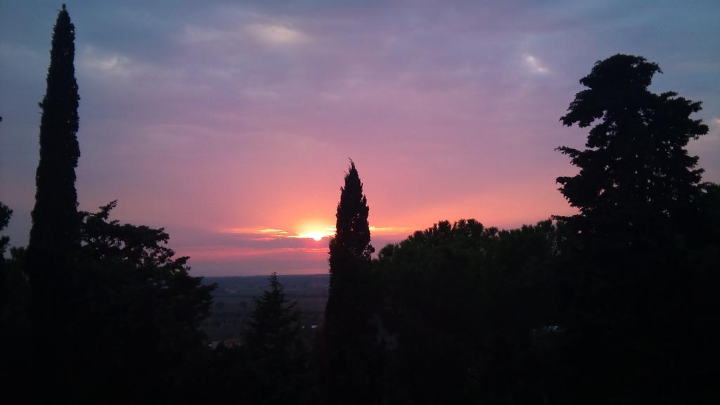 B&B Villa Il Poggetto Venturina Terme Eksteriør billede