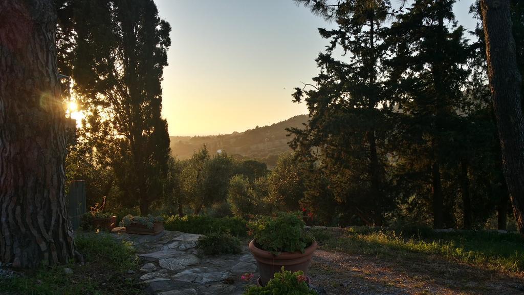 B&B Villa Il Poggetto Venturina Terme Eksteriør billede