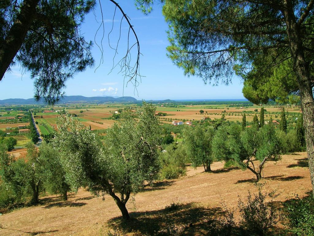B&B Villa Il Poggetto Venturina Terme Eksteriør billede